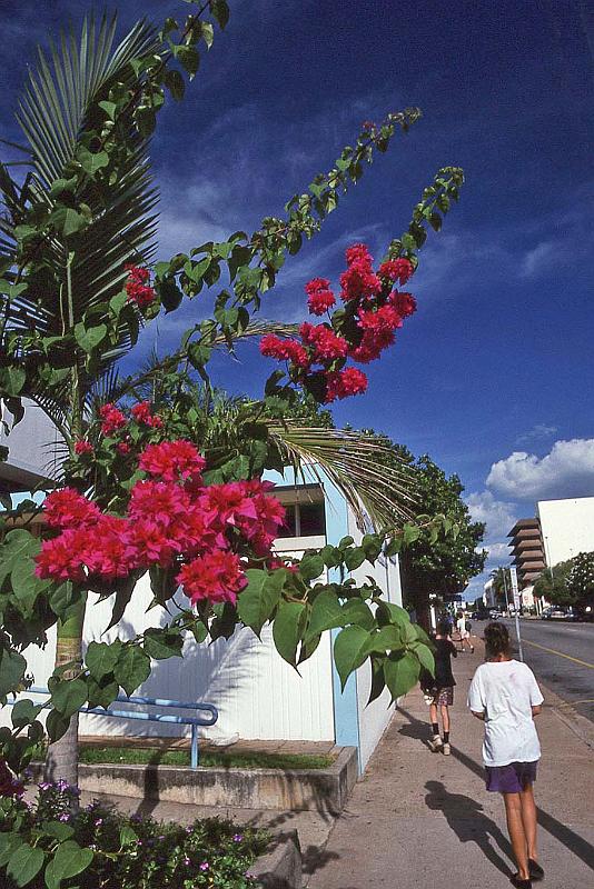 WT 0400 100-17 Australia.jpg